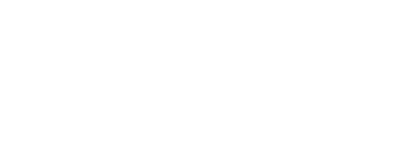 SW Consulting